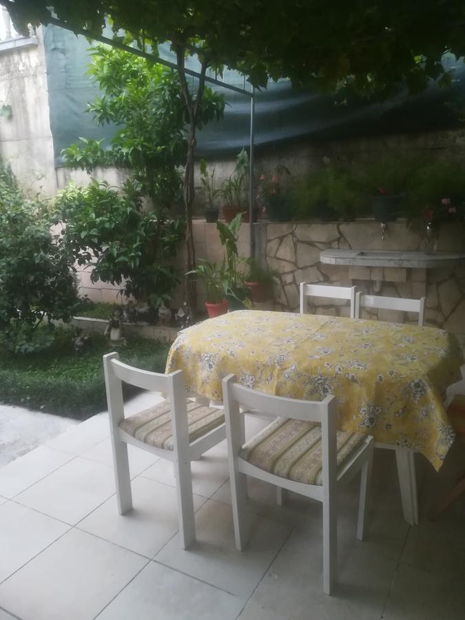 Dijana * Budva